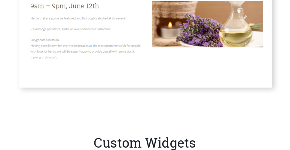 herbit wordpress тема