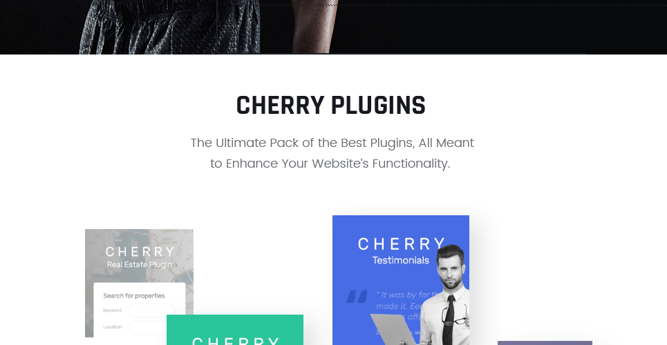 клуб боевых искусств отзывчивая тема wordpress