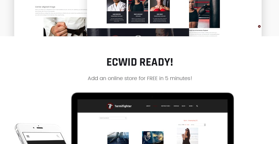 клуб боевых искусств отзывчивая тема wordpress