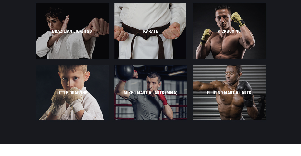 клуб боевых искусств отзывчивая тема wordpress