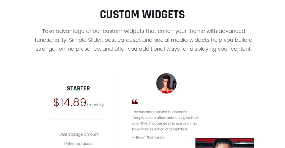 клуб боевых искусств отзывчивая тема wordpress