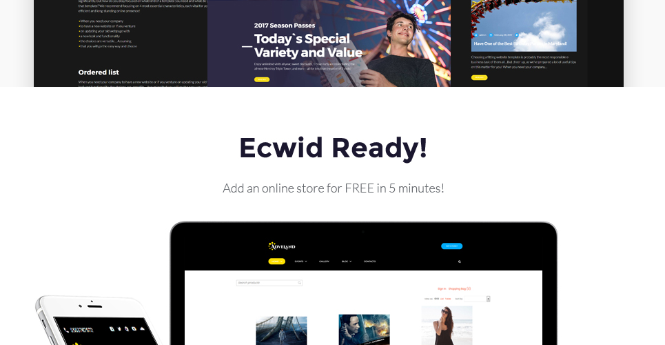 парк развлечений отзывчивая тема wordpress