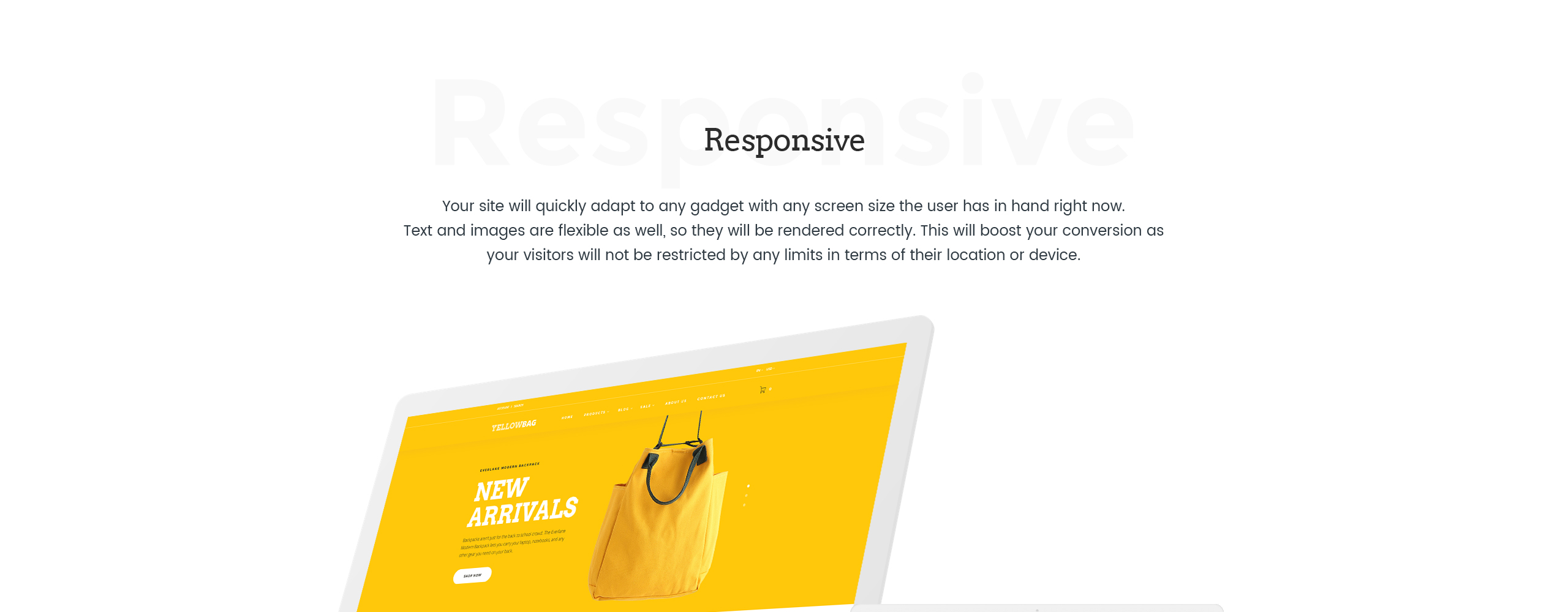 сумочка отзывчивая тема shopify