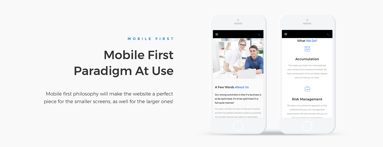 бухгалтер эксперт отзывчивая тема wordpress