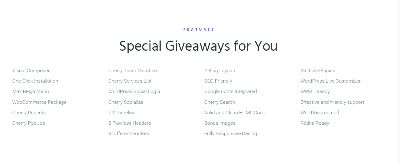 atelier design &amp; photography template wordpress theme