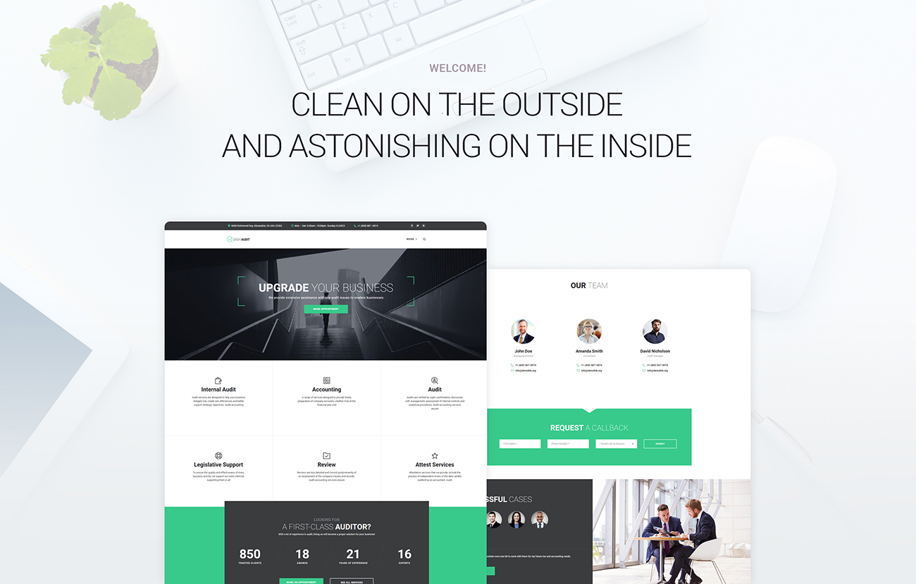 easyaudit аудит wordpress тема