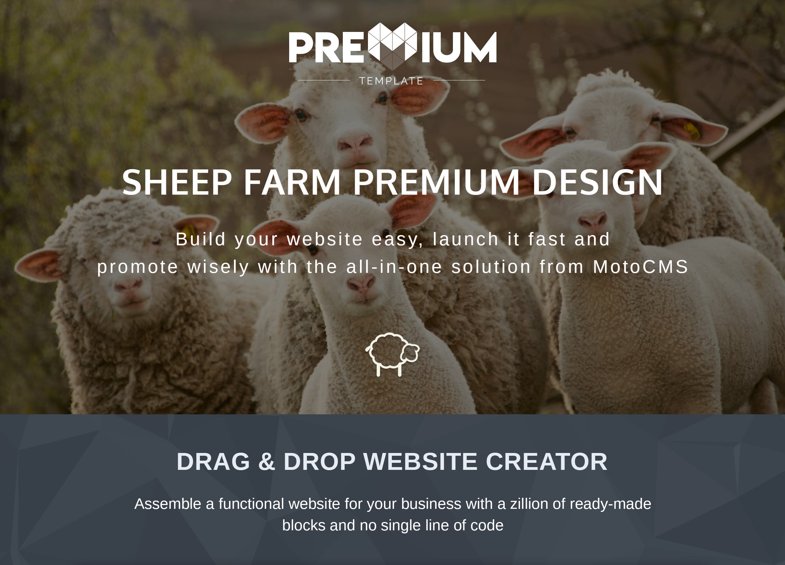 sheepland premium moto cms 3 шаблон