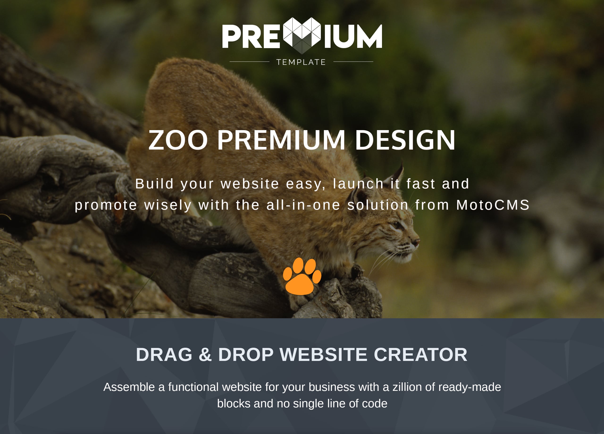 zoo premium moto cms 3 шаблон
