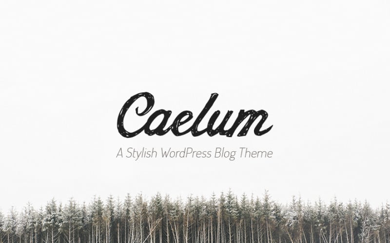 минималистичная тема wordpress