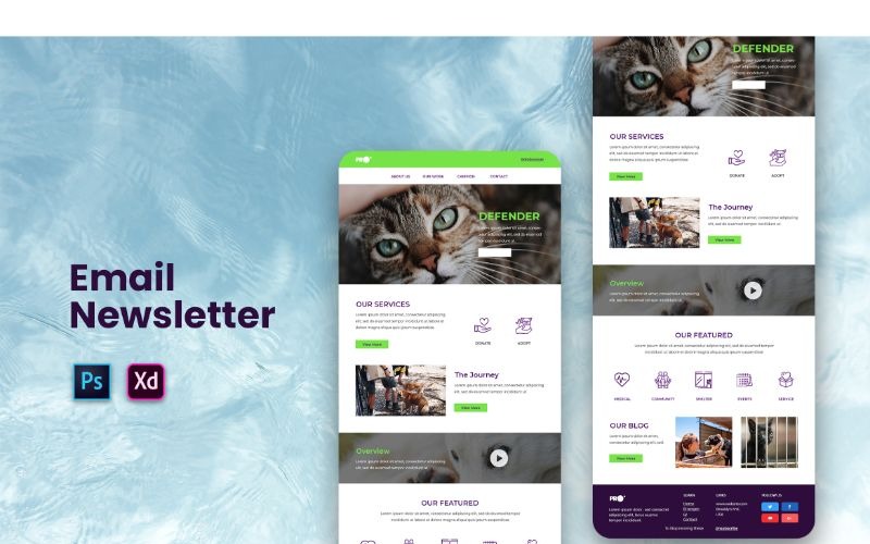 Download UI элементы "EM Pro 2 UI Elements" / EM Pro 2 UI Elements - UI элементы на тему графика adobe photoshop,adobe xd,branding,business,business solution,commerce,communication,corporate,development,email,information,marketing,message,network,newsletter,office,project,promotions