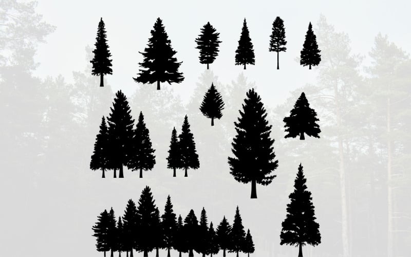 Download Иллюстрация "Coniferous Pine Fir Tree Silhouette" / Coniferous Pine Fir Tree Silhouette - Иллюстрация на тему графика silhouette,trunk,evergreen,tree,nature,shape,set,spruce,park,wood,vector,coniferous,fir,branch,icon,pine,forest,needles,wild,outdoor
