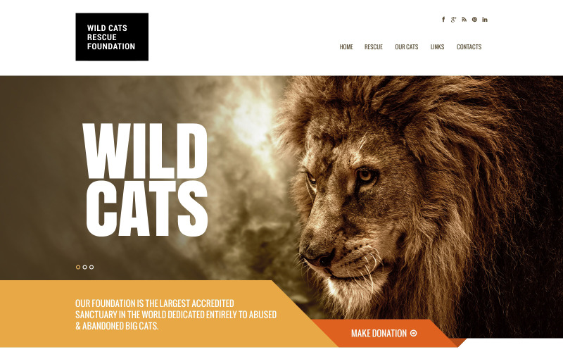 адаптивный шаблон сайта wild life