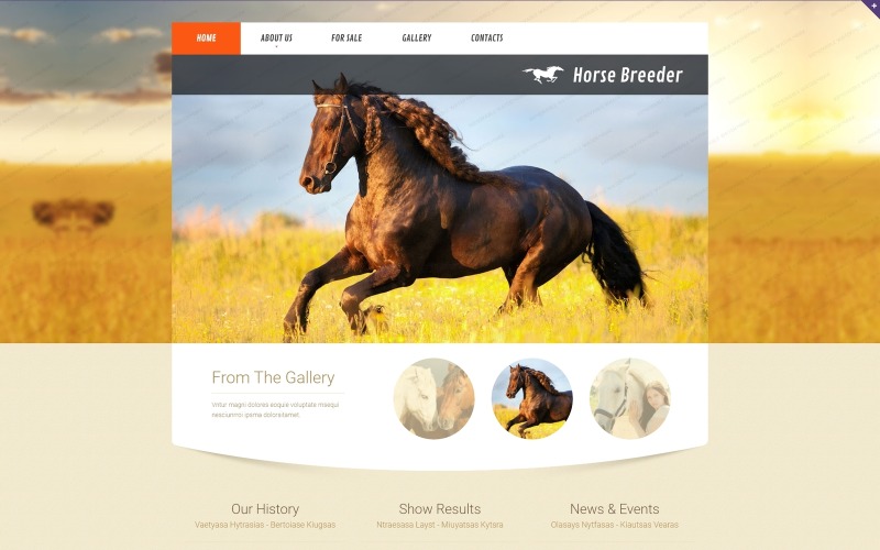 шаблон веб-сайта horse responsive