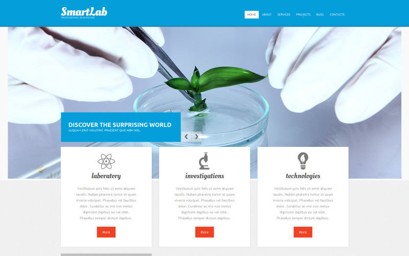 science lab отзывчивый шаблон drupal