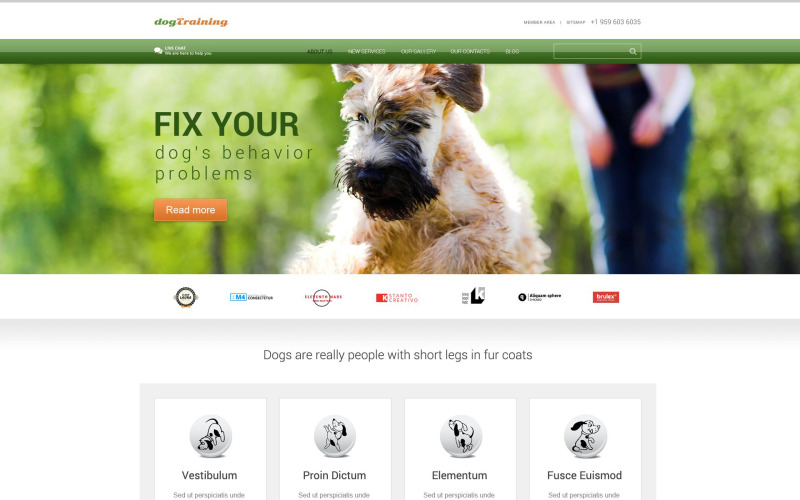собака отзывчивая тема wordpress
