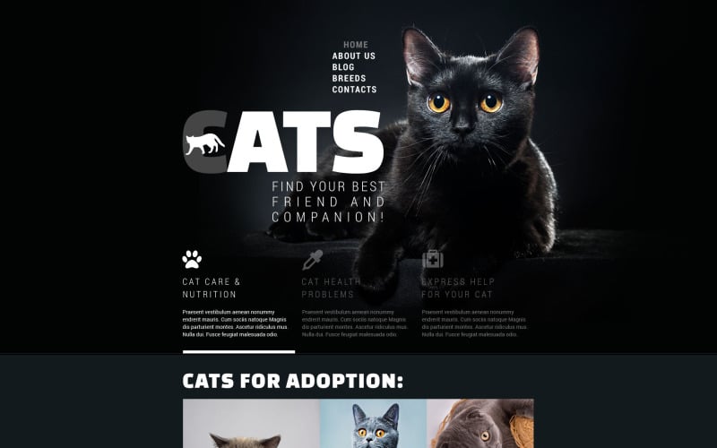 шаблон сайта cats club