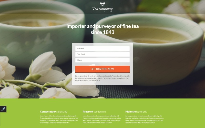 шаблон адаптивной целевой страницы tea shop
