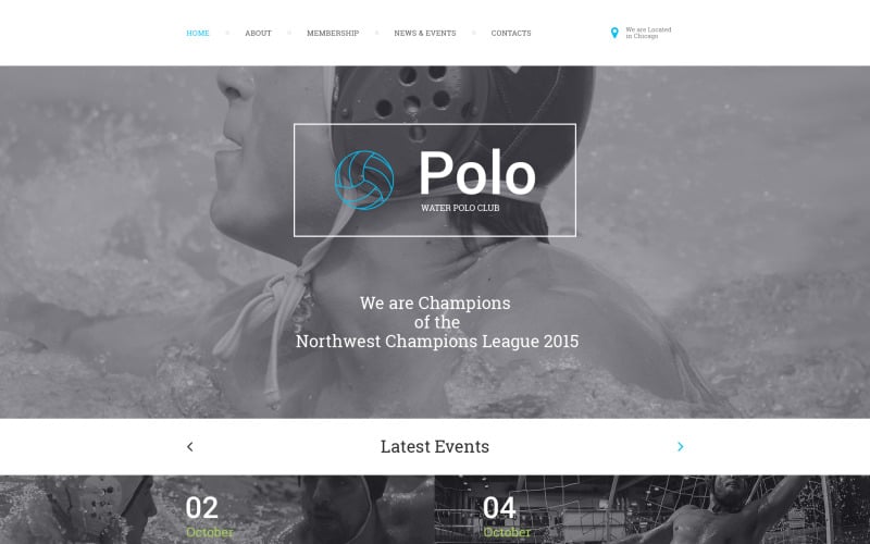 шаблон сайта polo