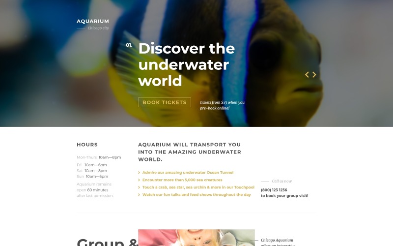 fish responsive landing page template