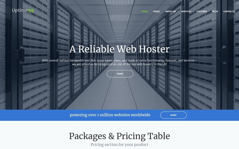 веб-хостинг wordpress тема
