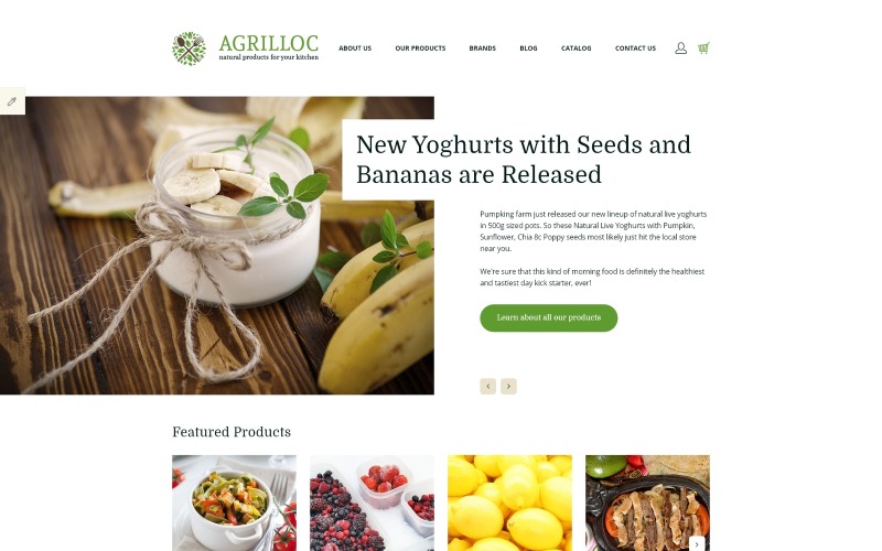 отзывчивый шаблон opencart магазина натуральных продуктов natural products store