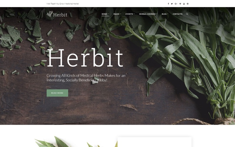herbit wordpress тема