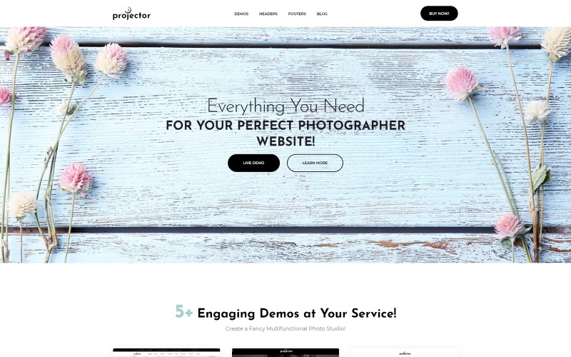 фотограф портфолио multihome wordpress тема