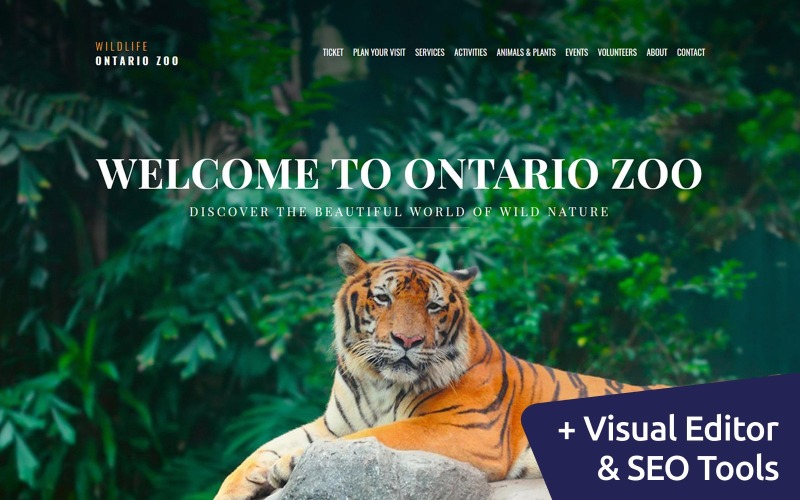 zoo premium moto cms 3 шаблон