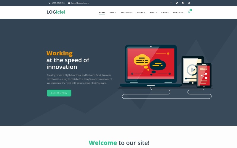 софтверная компания wordpress theme