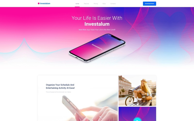 корпоративное приложение wordpress elementor theme