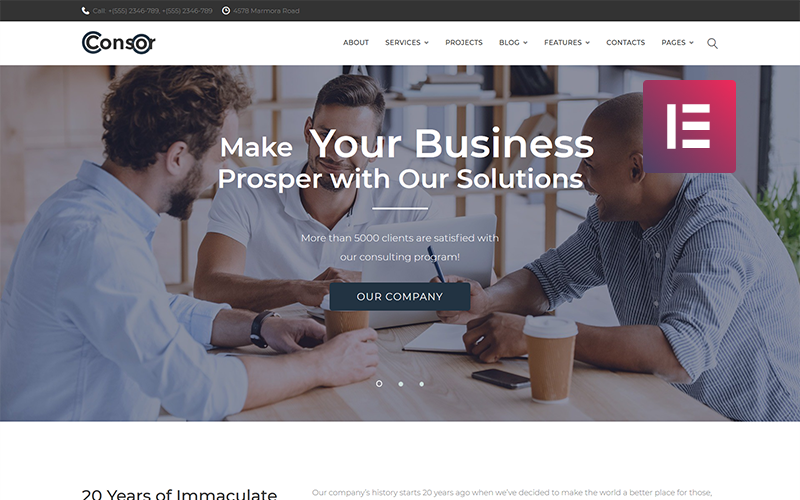 бизнес консалтинг wordpress elementor theme