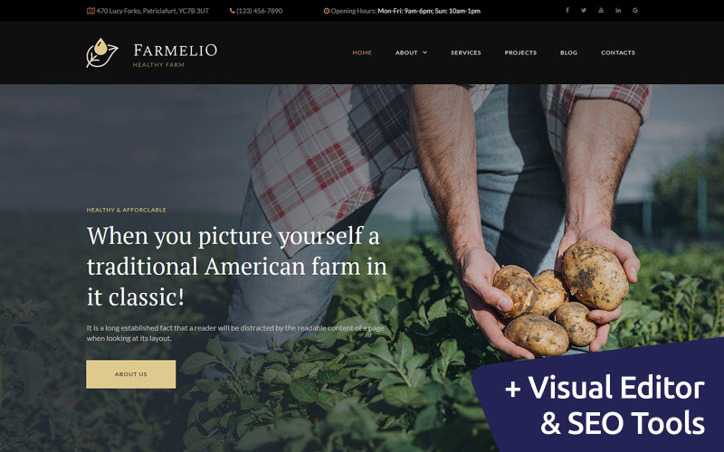 шаблон farm moto cms 3