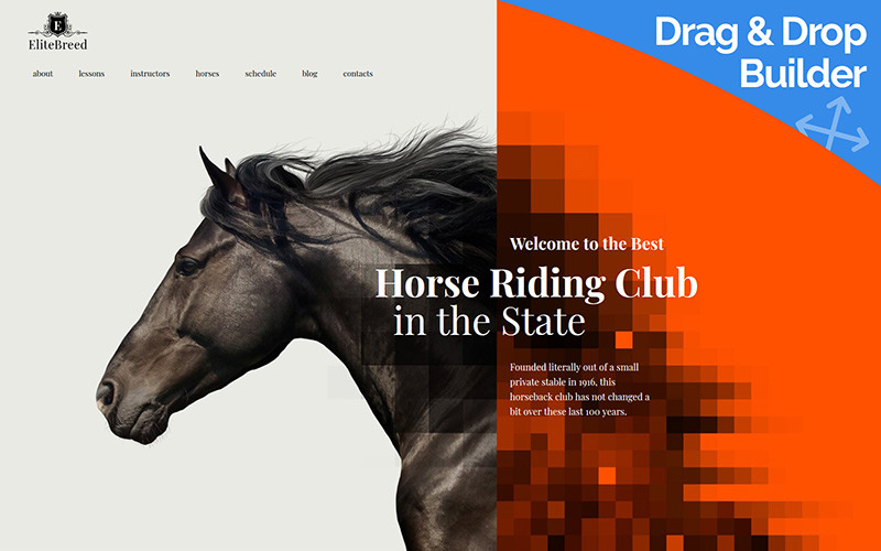 шаблон horse riding club moto cms 3