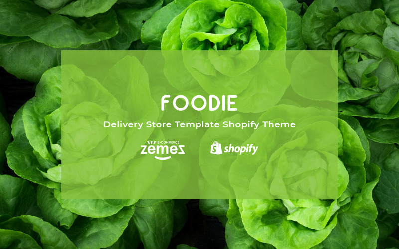 доставка в магазин shopify тема