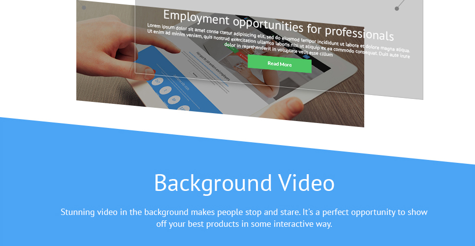 адаптивная тема wordpress job portal