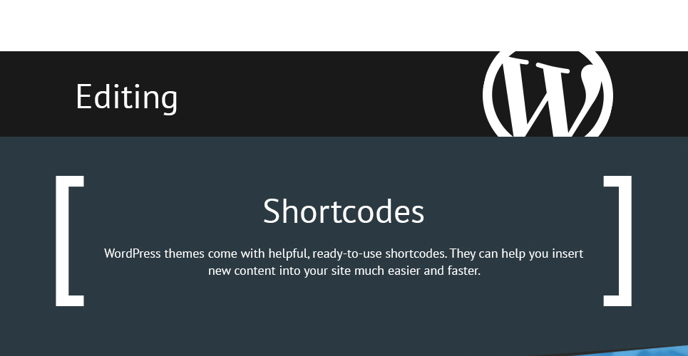 продвижение бизнеса wordpress тема